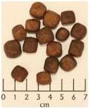 Produktbild Wolfsblut Dark Forest (Adult, 1 Stk., 2000 g)