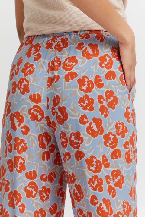 Image du produit Ichi IHCEFALU PA2 20116413