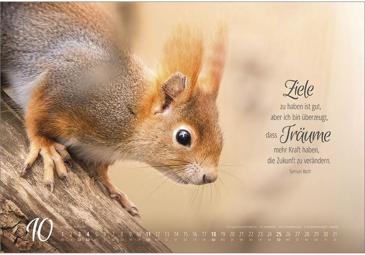 Produktbild Real Wildlife 2026 (49 x 34 cm)