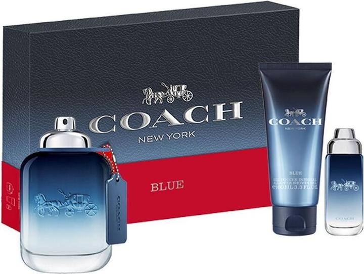 Actual product image Coach New York Blue