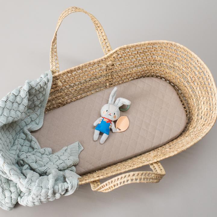 Image du produit Taf Toys Lapin Rylee