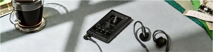 Actual product image Sony NW-A306 (18 GB)