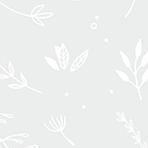 Image du produit Heyda Papier transparent "Feuilles", 50 x 70 cm (115 g/m², 1 x)