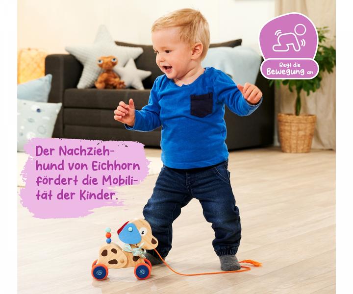 Produktbild Eichhorn Nachziehtier Hund