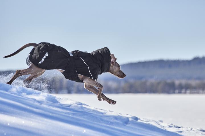 Actual product image Hurtta Extreme Warmer V3 Eco Black, 30 cm (30, Dog coat)