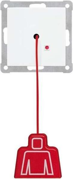 Actual product image JUNG Pull switch