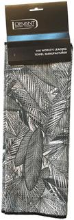 Palm