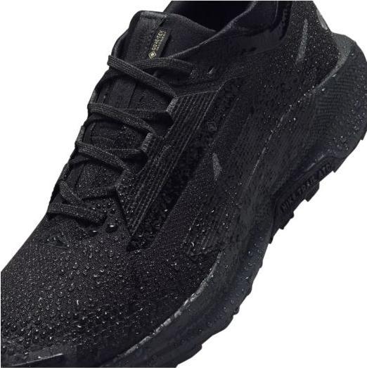 Image du produit Nike W REACTX PEGASUS TRAIL 5 GTX (FQ0912-002) (39)