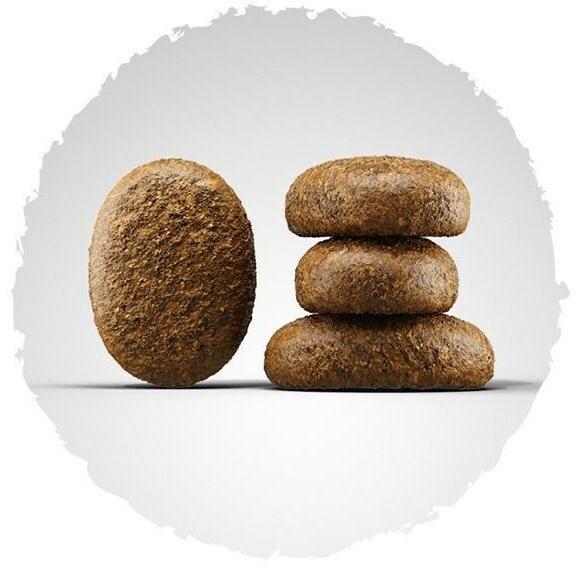 Immagine prodotto Josera Optiness 12,5 kg (Adulto, 1 pz., 12500 g)