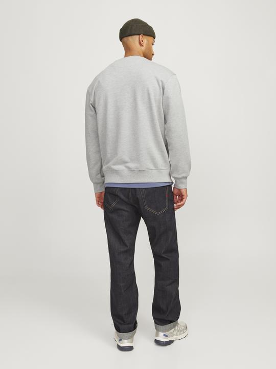 Actual product image Jack & Jones RDD Printed Sweatshirt Sweatshirt (XL)