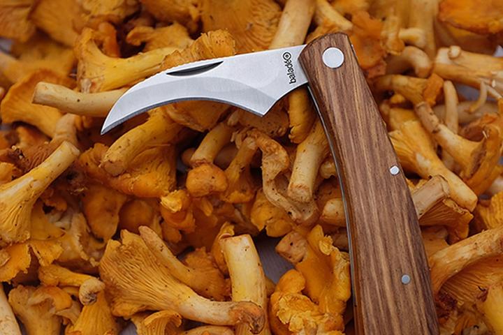 Image du produit Baladéo Couteau à champignons (7.20 cm)