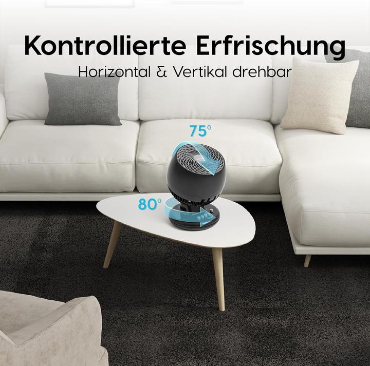 Actual product image Iris Ohyama Woozoo Circulator PCF-M18 black