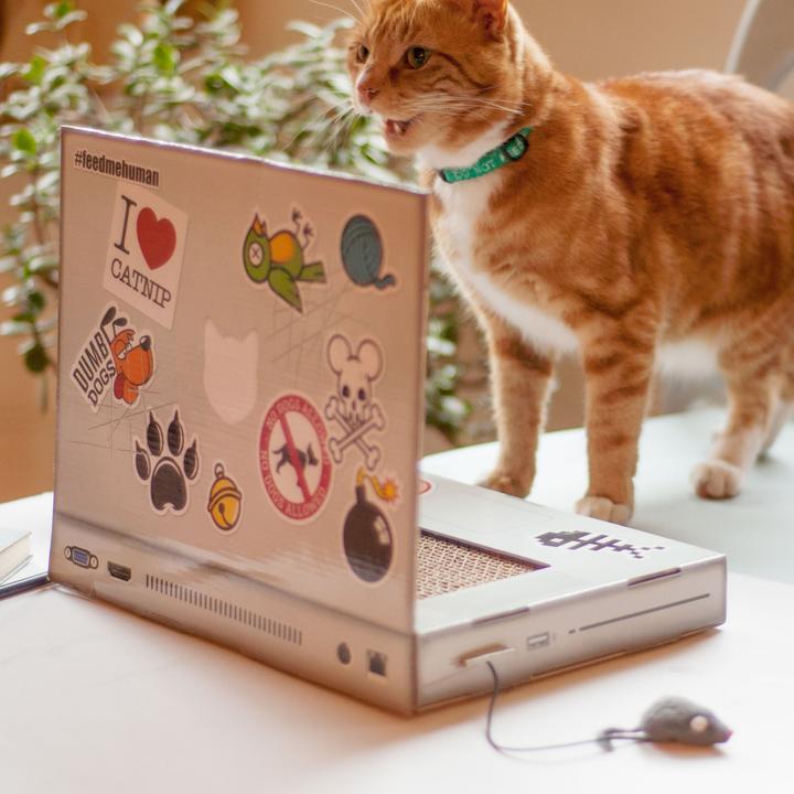 Actual product image Suck UK Laptop (Cat scratching toy, Cat activity toy)