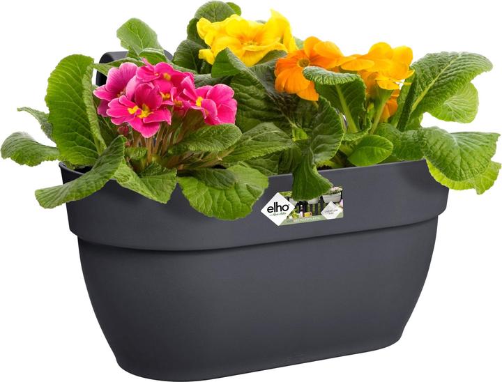 Produktbild Elho Blumenschale (36 cm)