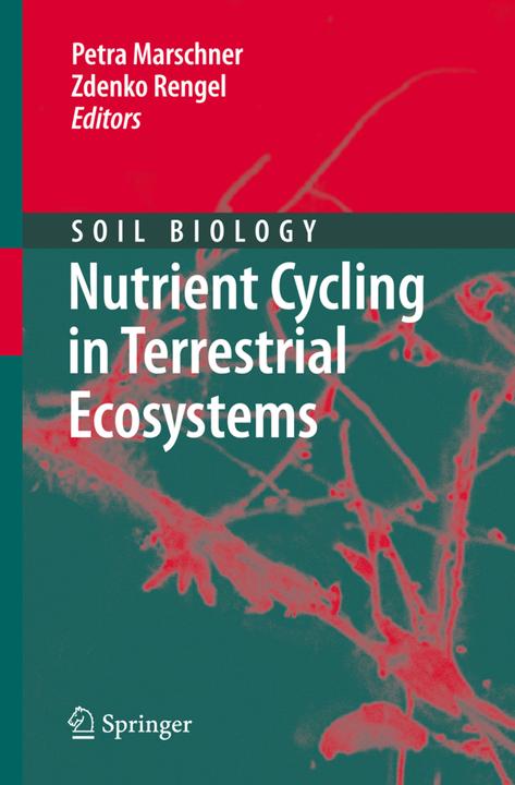 Nutrient Cycling in Terrestrial Ecosystems (Englisch, Petra Marschner, Zdenko Rengel, 2010)