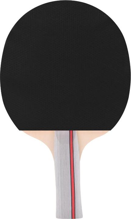 Actual product image Spokey Competitor 921709 Table tennis bat available from 15.12.2023