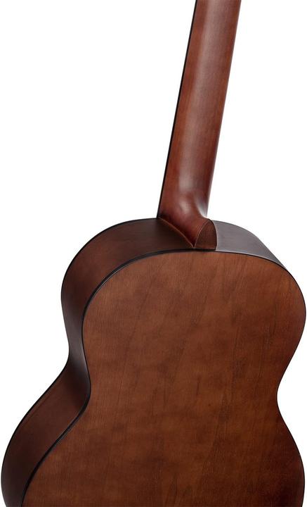 Actual product image Ortega Family Series Pro Solid Top Nylon Classical Guitar (Classical guitar, Solid ceiling)