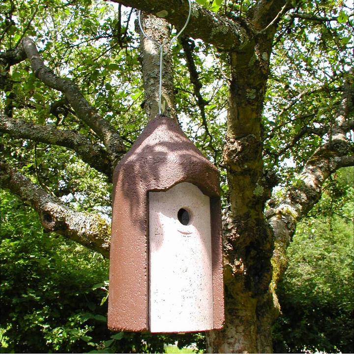 Immagine prodotto Schwegler Foro del nido