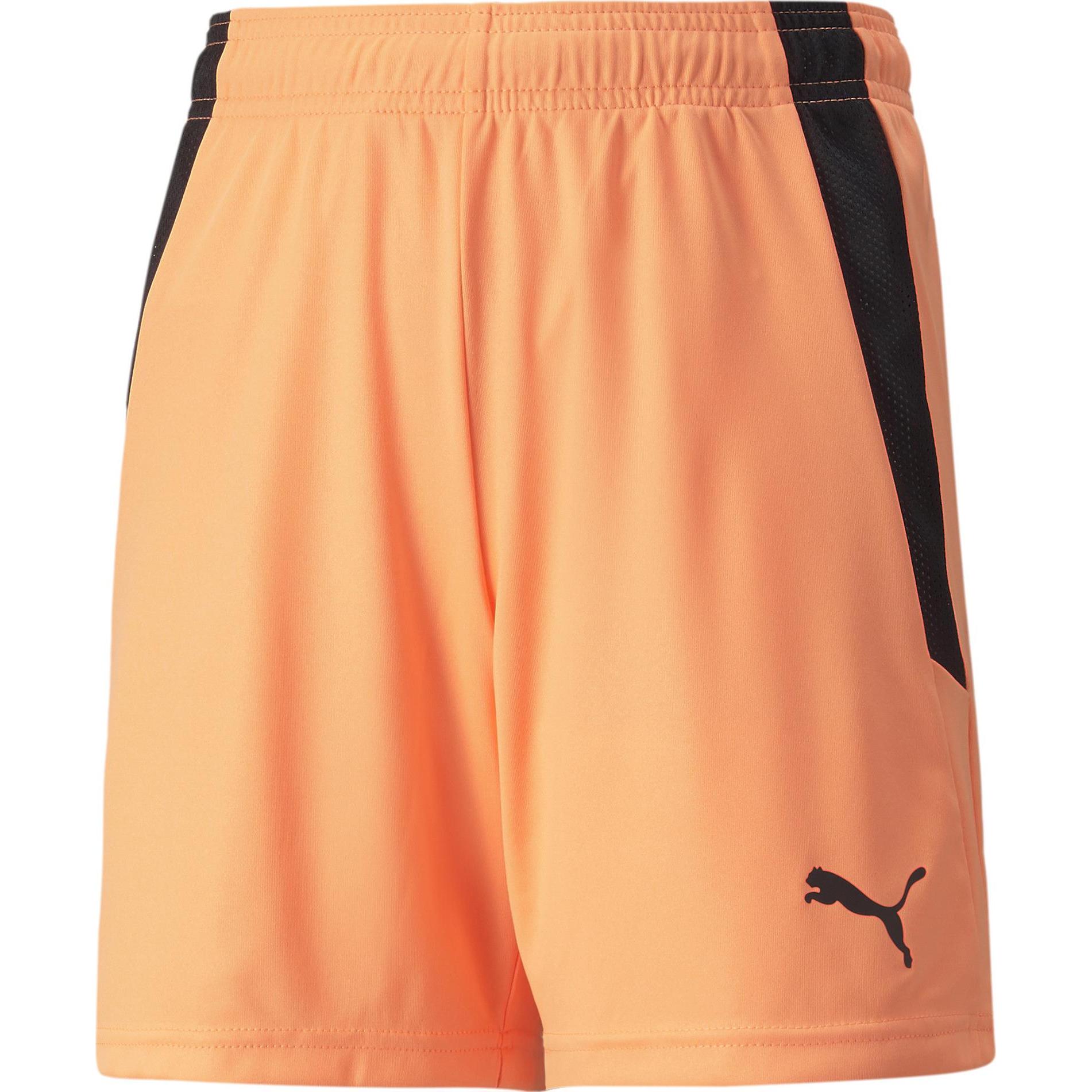 Puma, Herren, Sporthose, teamLIGA Shorts Jr (176), Orange, 176