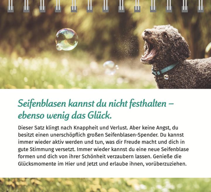 Produktbild Wolf:Der Lebensfreude-Tischkalender 202 (17 x 15,6 cm)