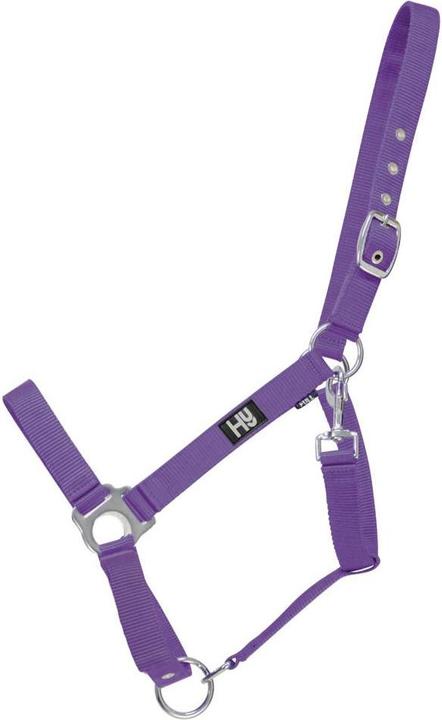 Viola