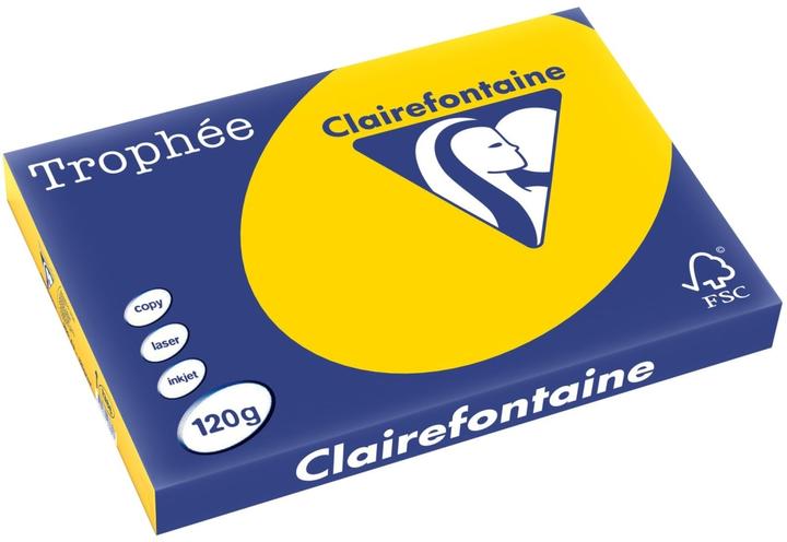 Image du produit Clairefontaine Papier à copier Trophee A3 120g/qm VE=250 feuilles jaune doré (120 g/m², A3)