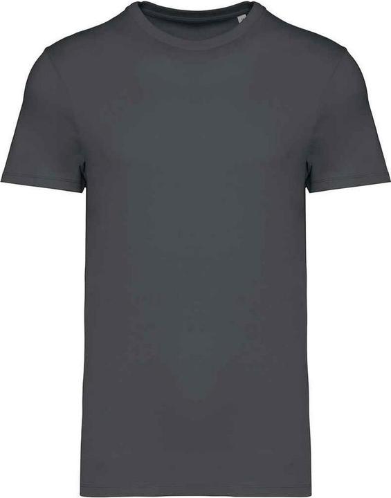 Produktbild Native Spirit Unisex Adult Heavyweight Slim T-Shirt (M)