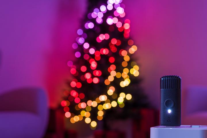 Actual product image Twinkly Tree PreLit (180 cm)