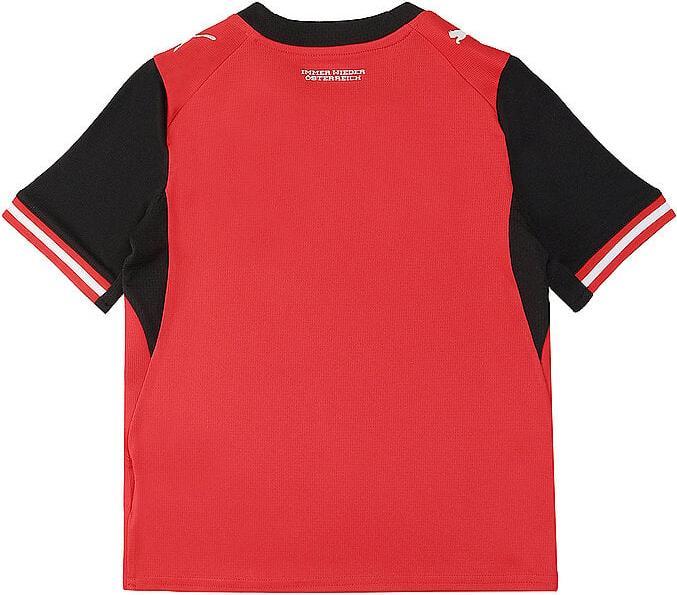Actual product image Puma ÖFB Home Jersey Replica Jr (140)