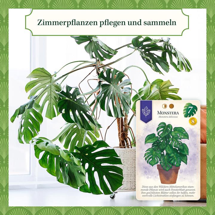 Produktbild Kosmos Sattgrün (Deutsch, 1 - 5 Spieler)