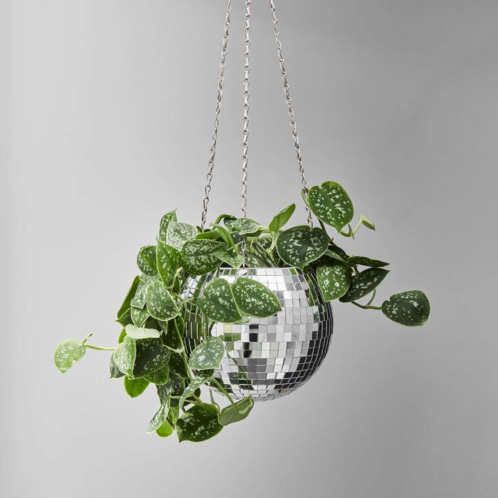 Actual product image home24 Disco