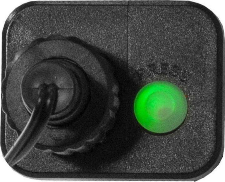 Actual product image Star Trading Berry Mini (19 m)