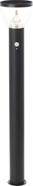Actual product image Brilliant G40412/06 Tulip solar outdoor stand light with motion detector 3 W Warm (430 lm, IP44)