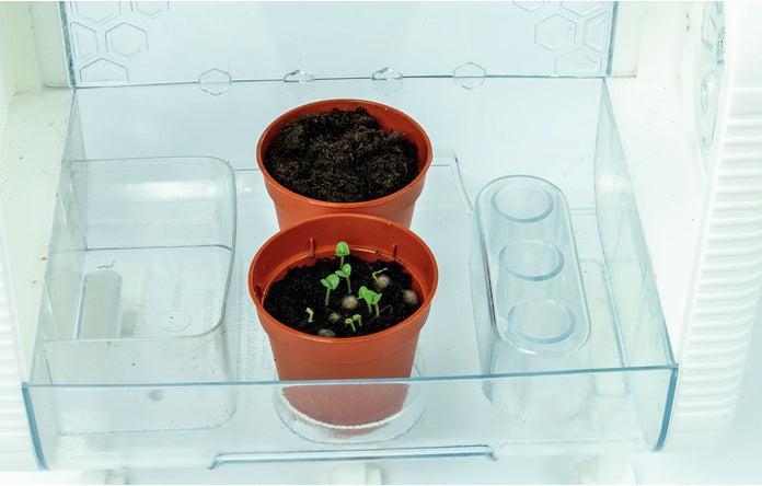 Actual product image Clementoni Technological Greenhouse