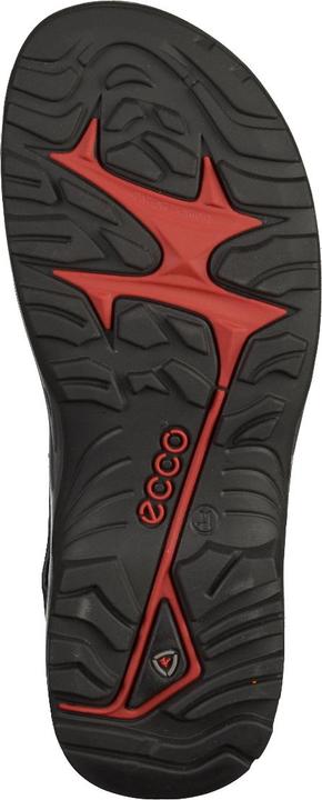 Actual product image Ecco Offroad Andes II (43)