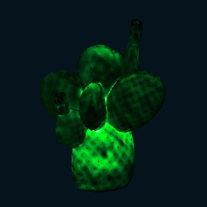 Produktbild Goodnight Light Cactus
