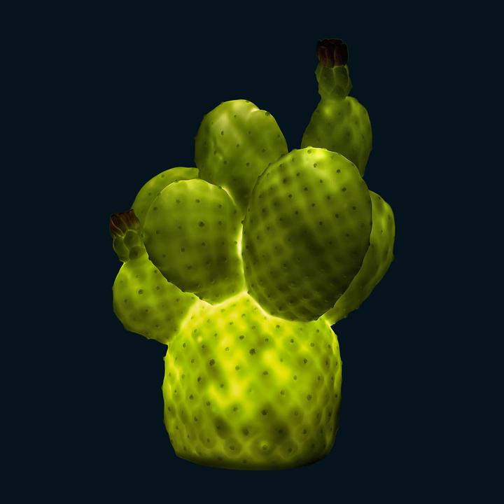 Produktbild Goodnight Light Cactus