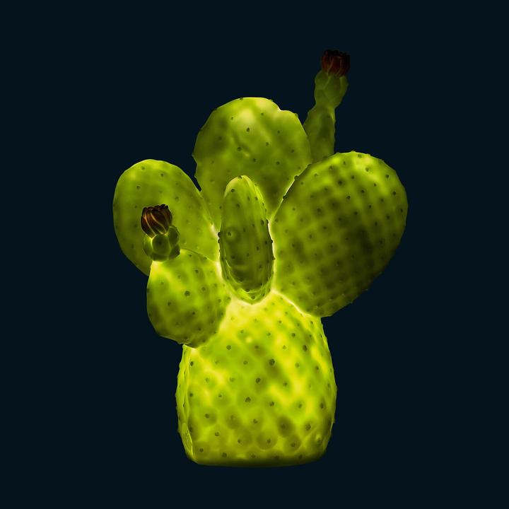 Produktbild Goodnight Light Cactus