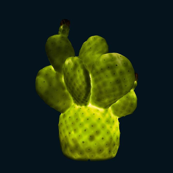 Produktbild Goodnight Light Cactus