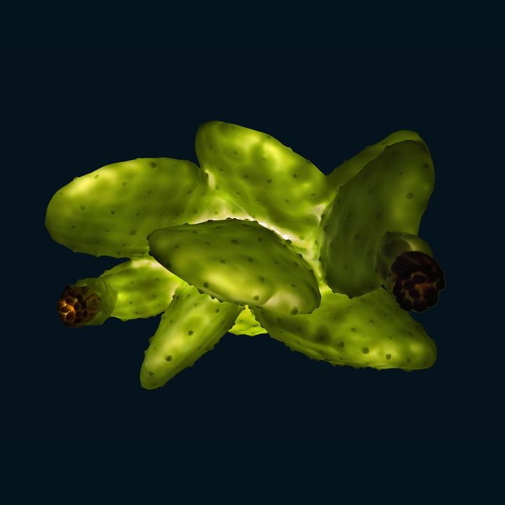 Produktbild Goodnight Light Cactus