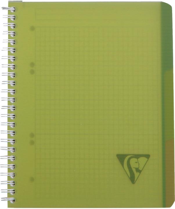 Actual product image Clairefontaine Linicolor Evolutive Book (A4+, Checked, Hardcover)