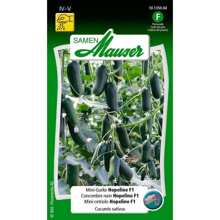 Immagine prodotto Samen Mauser Mini-Gurke Hopeline F1 (Semi di verdura)