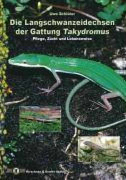 Le lucertole a coda lunga del genere Takydromus (Tedesco, Uwe Schlüter, 2003)