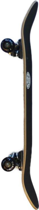 Image du produit Maui and Sons Brainwave (31.10")