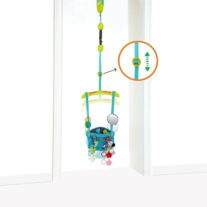 Actual product image Bright Starts Deluxe door hops with door frame clamp