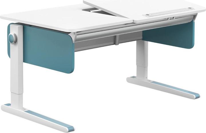 Moll Champion Right Up (120 x 53 cm)