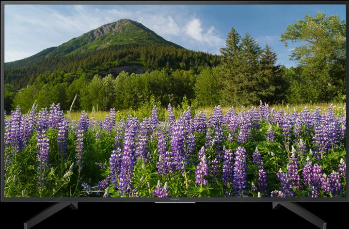 Sony Kd-49xf7005 (49", LCD, 4K, 2018)