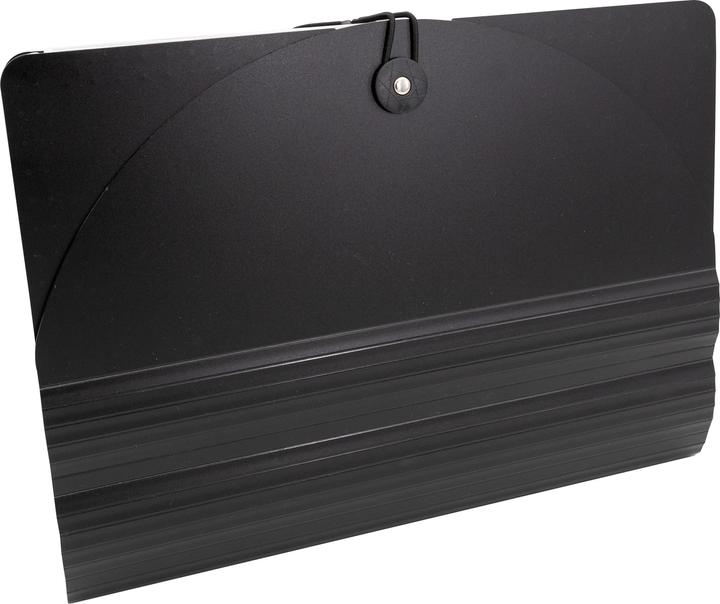 Actual product image Idena Document folder A4 24 compartments black (A4, 1x)