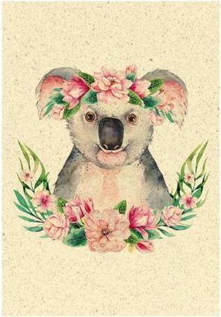 Carta Erba Carta Koala