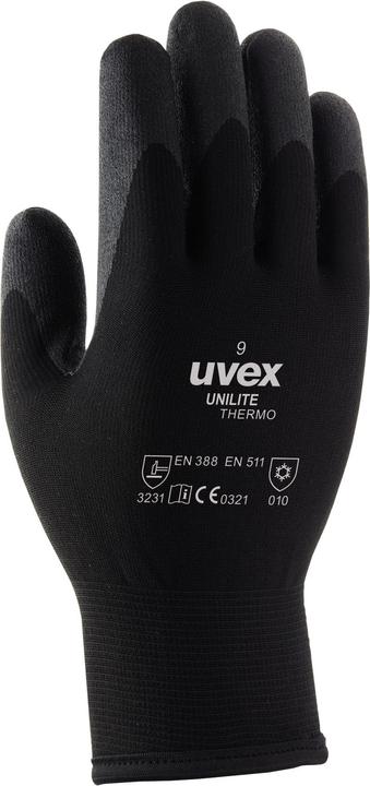 XL